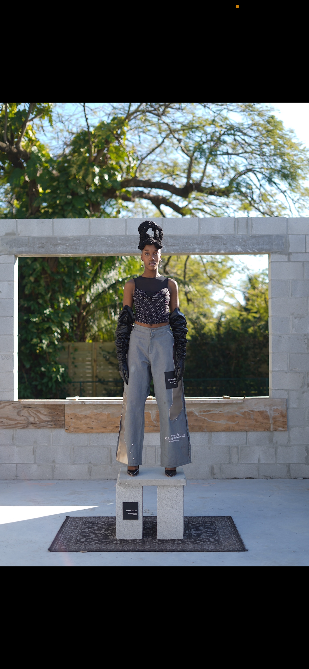 Chrome Studded Canvas Pant